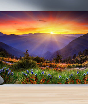 Papel para paredes Paisajes 10 Pradera Calida