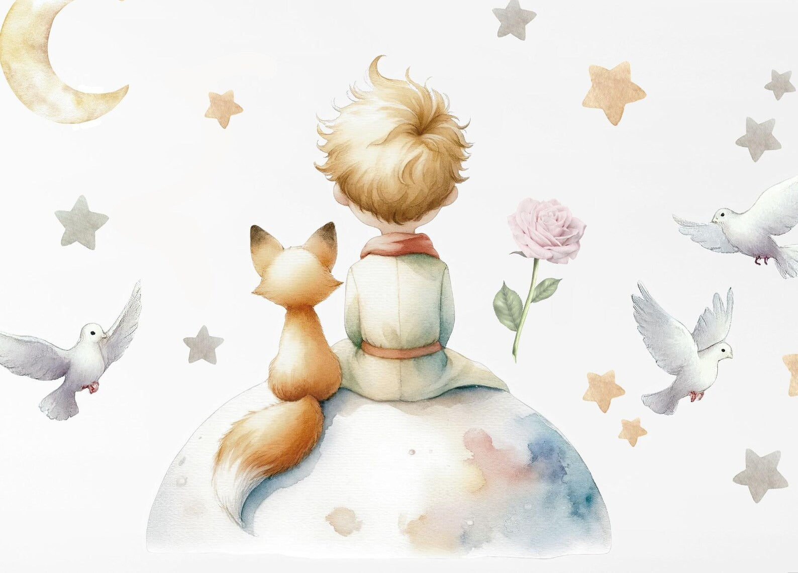 El principito 5